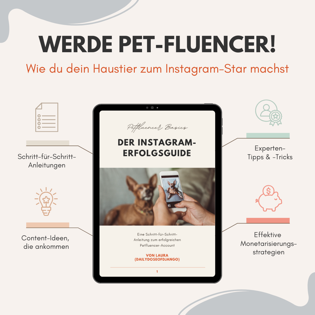 Petfluencer Guide | Dein Schritt-für-Schritt-Guide zum erfolgreichen Haustier-Account