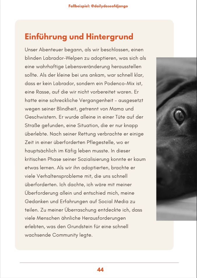 Petfluencer Guide | Dein Schritt-für-Schritt-Guide zum erfolgreichen Haustier-Account