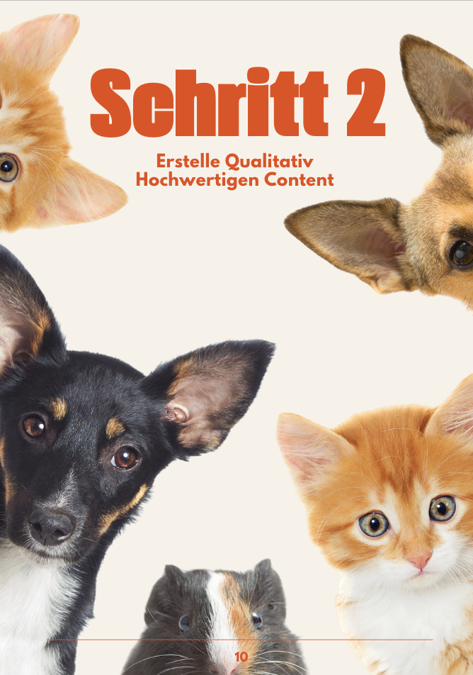 Petfluencer Guide | Dein Schritt-für-Schritt-Guide zum erfolgreichen Haustier-Account