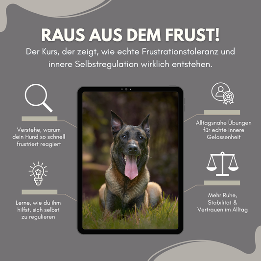 Raus aus der Frustspirale - wie dein Hund Selbstregulation und Gelassenheit im Alltag lernt
