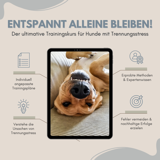 Entspannt Alleine – Der umfassende Trainingskurs für Hunde mit Trennungsstress